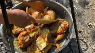 ببینید؛ غذای روستایی در ایران؛ پخت پلو اکبر جوجه در طبیعت