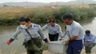 کشف یک جسد مرد 45 ساله با هویت نامشخص