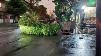 جدیدترین جزئیات از طوفان تهران و آمار مصدومان