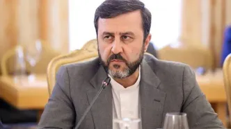 غریب‌آبادی درمورد مذاکرات رم به کمیسیون امنیت ملی گزارش می‌دهد