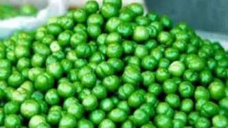 قیمت جدید گوجه سبز اعلام شد – ۲۰ فروردین ۱۴۰۴