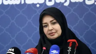 جانمایی ۷۱۰ هزار و ۸۷۴ هکتار از بستر رودخانه‌ها در سامانه کاداستر