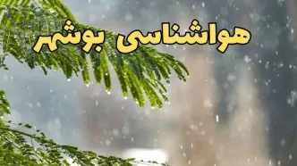 وضعیت آب و هوا بوشهر فردا سه شنبه ۱۹ فروردین ماه ۱۴۰۴ | پیش بینی هواشناسی بوشهر ۲۴ ساعت آینده + آب و هوای بوشهر