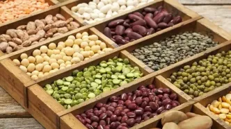 قیمت حبوبات سر به فلک کشید؛ لوبیا کیلویی ۵۰۰ هزار تومان!