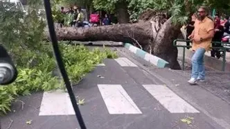 یک فوتی و ۲۴ مصدوم در طوفان تهران