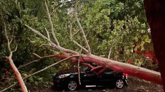 تصاویری از خسارت های طوفان در تهران