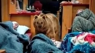 صحبت های شنیدنی سیروس مقدم درباره خرس سریال پایتخت