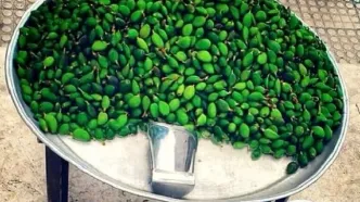 شوک قیمتی گوجه‌سبز/ از ۱۰ میلیون تومان تا ۱.۵ میلیون!