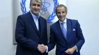 ملاقات مهم گروسی و رییس سازمان انرژی اتمی