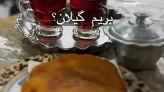 فیلم گشت‌وگذار در پارک بازار لنگرود