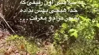 فال حافظ اول اردیبهشت 1404 + فیلم