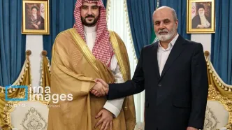 دیدار وزیر دفاع عربستان با دبیر شورای عالی امنیت ملی