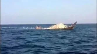 لاشه یک دلفین در جزیره خارگ بوشهر پیدا شد