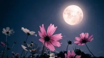 طلوع ماه صورتی در آسمان شب