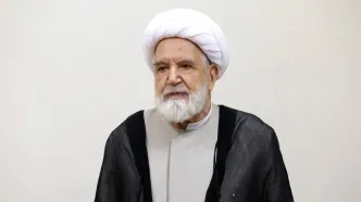 دیدار آیت‌الله موسوی خوئینی‌ها با مهدی کروبی/ عکس