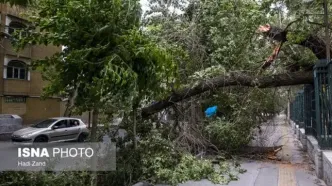 پیش بینی هوای تهران سه شنبه 9 اردیبهشت 1404