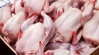 قیمت جدید مرغ اعلام شد (۹ اردیبهشت)
