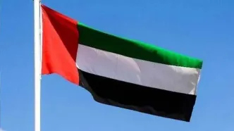 امارات نقش خود در طرح حمله احتمالی علیه یمن را انکار کرد