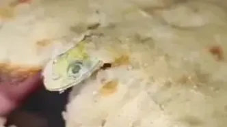نان سنگک با طعم مارمولک + فیلم