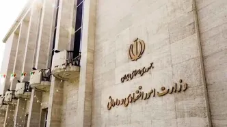 حق بیمه حوادث طبیعی قبض برق مردم کجا خرج می شود؟ / وزارت اقتصاد پاسخ دهد