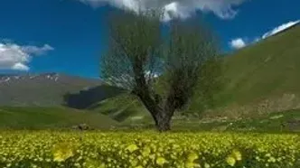 فیلم زیبایی چشم‌نواز کردستان زیبا