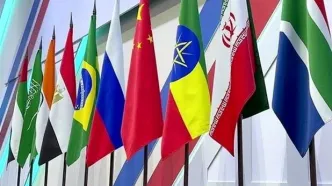 رشد تجارت غذایی ایران با بریکس؛ سهم ۷ میلیارد دلاری برزیل