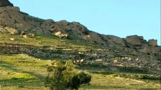 تحول در بیمه کشاورزی در سال ۱۴۰۴