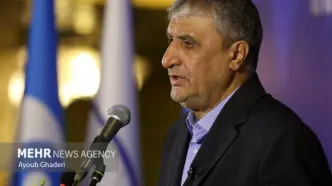پیام تسلیت رئیس سازمان انرژی اتمی بابت حادثه بندر شهید رجایی