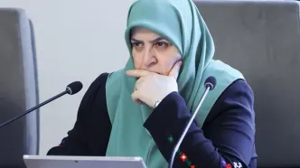 سخنگوی دولت: مذاکره مطلوب ایران گفت‌وگوی دقیق و بدون هیاهوست