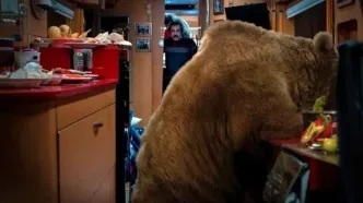 عکس بدلکار نقی و بهتاش در سکانس جنجالی لو رفت