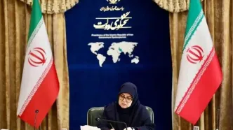 مهاجرانی: دولت از تصمیم مجمع در تصویب مشروط لایحه پالرمو استقبال می‌کند