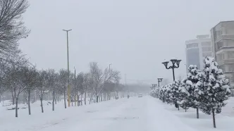 ببینید | بارش دور از انتظار برف بهاری در مشگین‌شهر اردبیل