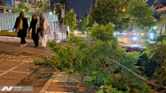 طوفان تهران 2 کشته و 41 مصدوم برجای گذاشت
