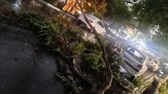 طوفان تهران جان چند را گرفت؟