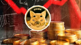 بازار صعودی، شیبا اینو (SHIB) نزولی؛ چشم‌انداز کوتاه‌مدت همچنان مبهم