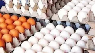 تخم مرغ از چشم بازار افتاد !