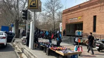 ایستگاه مترو پارک لاله ، آسیب‌زا یا ضروری؟