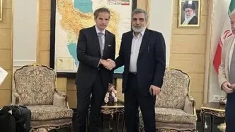 استقبال سخنگوی سازمان انرژی اتمی از گروسی در تهران