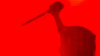 قتل فجیع با چکش در حمام خانه مرد تهرانی