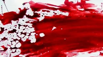 مردی که به عروسی دعوت نشد خون به پا کرد