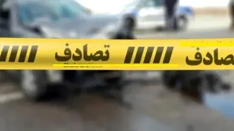 تلف شدن ۵۰ راس گوسفند بر اثر برخورد با مینی‌بوس در بابل