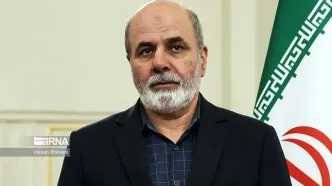 «علی‌اکبر احمدیان» به دولت می‌رود