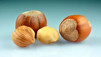این مغز یک نوع مولتی ویتامین محسوب می شود