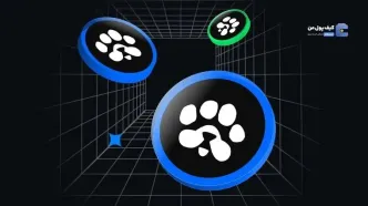 آموزش نقد کردن ایردراپ پاز (PAWS)
