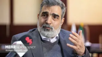 کمالوندی: هیچ‌کس نمی‌تواند با زبان تهدید با ملت ایران سخن بگوید