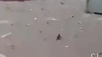ویدئویی از دل حادثه انفجار در بندرعباس