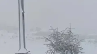 ببینید؛ این نقطه از ایران، لباس سفید به تن کرد