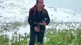 بارش برف بهاری لاله‌های واژگون را به کام یخ سپرد
