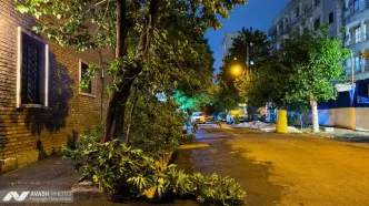 هشدار احتمال وقوع طوفان تندری در تهران
