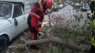 طوفان تهران ۶ مصدوم برجا گذاشت